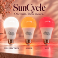 Load image into Gallery viewer, SunCycle 3-Mode Circadian Bulb