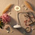 Load image into Gallery viewer, MoonNest Flat Lay