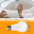Load image into Gallery viewer, Lightbulb Circadian Friendly - Amber

