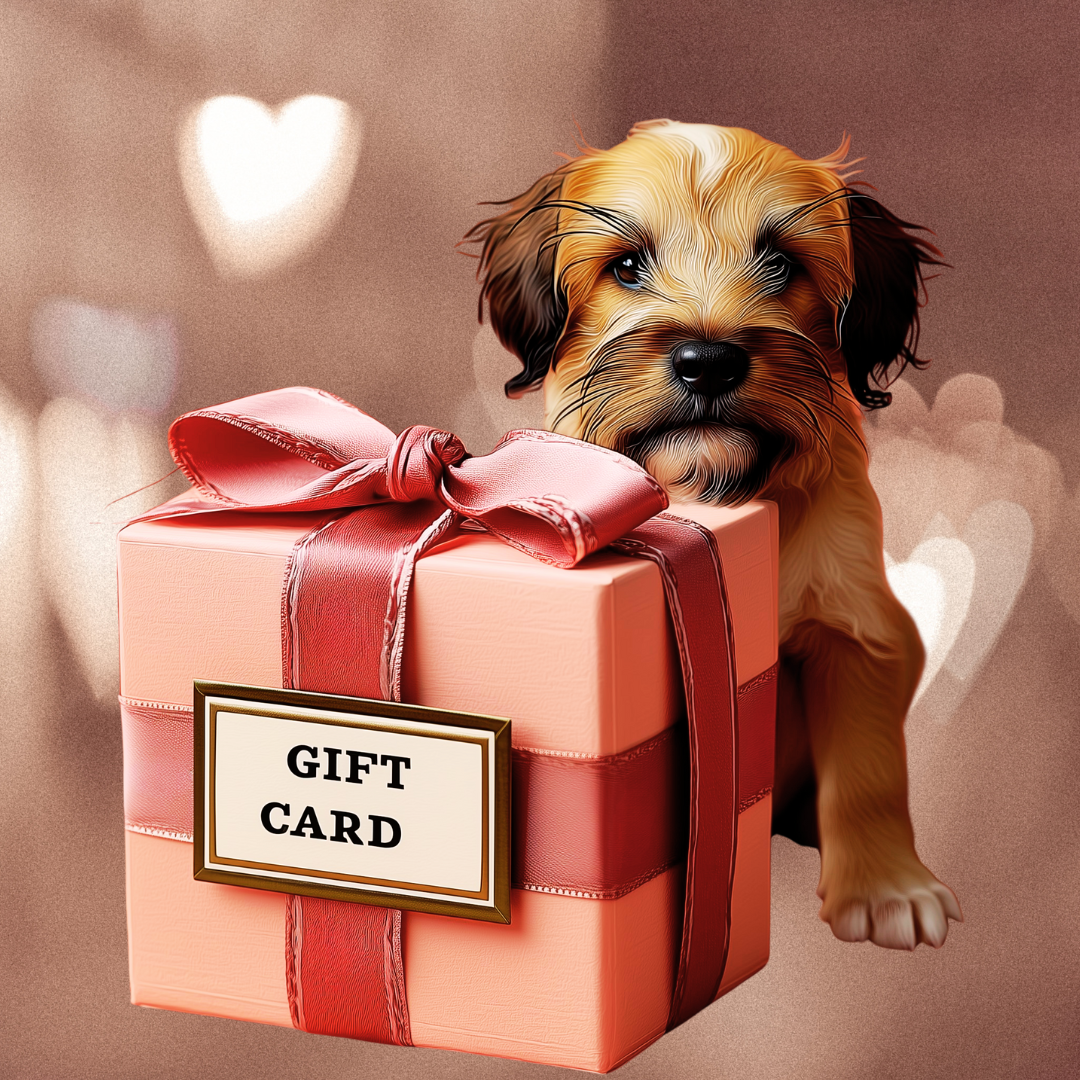 DREAMWALKERZ Gift Card