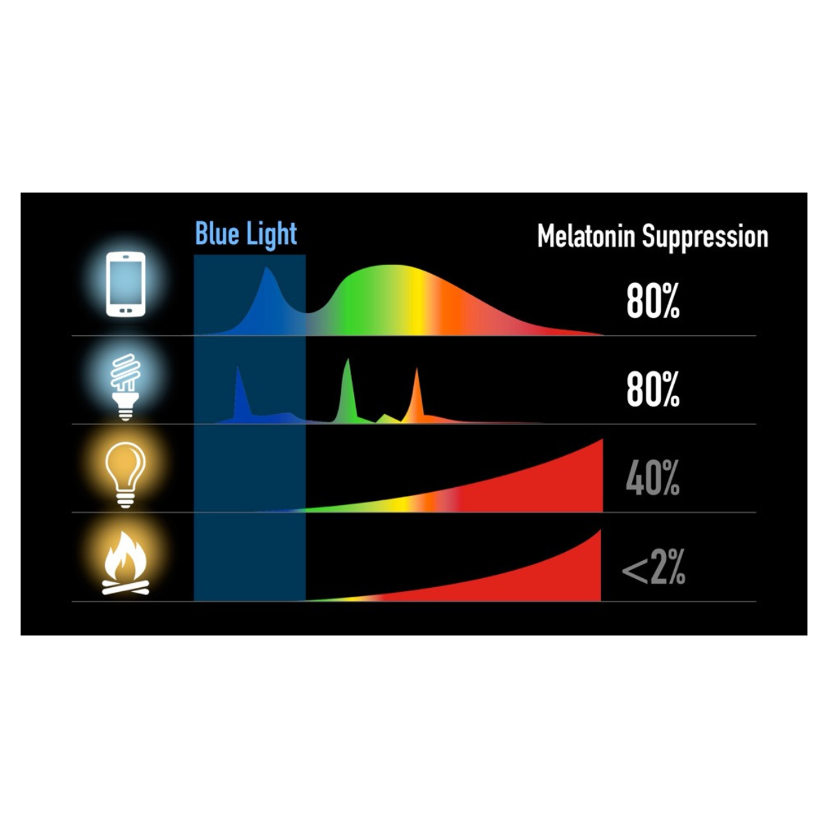 Edison Incandescent Bulbs ST64 — Set of 3 or 6 | Warm Circadian Light